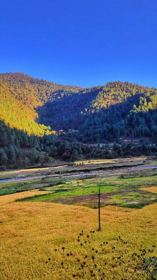 Sangti  Valley
